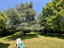 Maison à vendre 11 pièces LA CELLE LES BORDES (78)