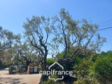 Appartement à vendre 3 pièces LA FARLEDE (83), 58m2 au calme à pied du village de la Farlède.