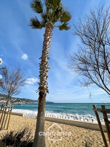 Appartement à vendre 1 pièces BORMES LES MIMOSAS (83), résidence standing, Terrasse sud + PARKING COUVERT + CAVE