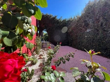 Dpt Var (83), à vendre HYERES Villa sans vis à vis- 1000m² de terrain - 3 chambres  - piscine - jardin - GARAGE.