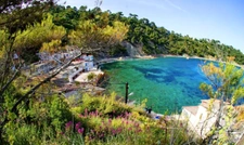 House for sale 5 rooms LA GARDE (83)