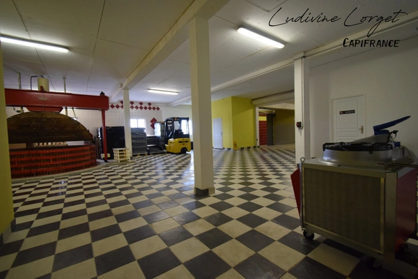A vendre Local professionnel loué /bureau proche de EPERNAY (51)À vendre – Pressoir - cuverie -stockage -bureaux – 423m2