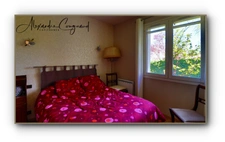 A vendre DOURGNE (81) - Maison de 106 m², 3 chambres, avec grand terrain arboré et demi sous-sol