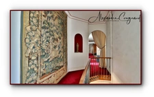 A vendre Roquecourbe (81) — Maison de maître XIXe, 500 m², 10 chambres, parc piscinable 2 271 m² — Aux portes du Sidobre