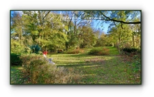 A vendre Verdalle (TARN - 81) - Maison de caractère P6 développant environ 160 m² sur terrain de 2300 m²
