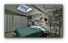 A vendre Sémalens (81) - Maison en pierre P5 rénovée d'environ 134 m² avec jardin