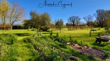 A vendre MONTEGUT LAURAGAIS (31) - Grange rénovée de 130 m² - 4 chambres - Piscine - Terrain 5500 m²