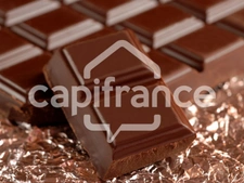 Dpt Charente (16), à vendre BARBEZIEUX SAINT HILAIRE Chocolaterie 