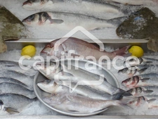 Charente Maritime Department (17), Fishmonger for sale 