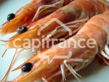 Dpt Charente Maritime (17), à vendre  Poissonnerie 