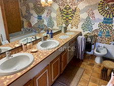Dpt Charente Maritime (17), à vendre BORDS  2 maisons