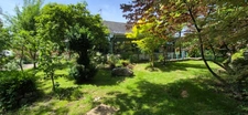 Maison de charme à vendre 3 chambres BOIS D'ENNEBOURG (76)