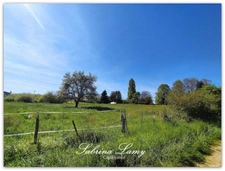 Dpt Marne (51), à vendre proche de ORBAIS L'ABBAYES terrain de 8 107m² soit 1800 m² à aménagée