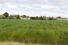 Dpt Vienne (86), à vendre PLEUMARTIN terrain 1590 m2