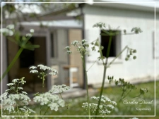Dpt Gironde (33), for sale SAINTE EULALIE Single storey house, 3 bedrooms, land 1000m2