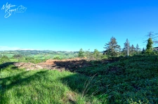 Terrain à bâtir au cœur de la végétation 