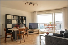Appartement à vendre 4 pièces avec terrasse BAGNEUX (92)