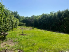 Maison à vendre 7 pièces MELINCOURT (70)