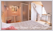 Propriété 9 pièces, piscine couverte, étang, dépendances sur 8 500 m² de terrain arboré à vendre à CHAON (41)