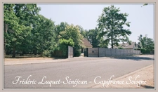 Maison 7 pièces sur sous-sol – Saint-Cyr-en-Val (45) – Spacieuse, boisée, familiale