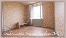 Maison avec jardin à vendre 4 pièces + grenier aménageable à SAINT FLORENT SUR CHER (18)