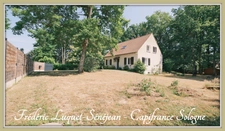 Maison 7 pièces sur sous-sol – Saint-Cyr-en-Val (45) – Spacieuse, boisée, familiale