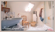 Propriété 9 pièces, piscine couverte, étang, dépendances sur 8 500 m² de terrain arboré à vendre à CHAON (41)