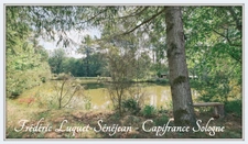 Propriété 9 pièces, piscine couverte, étang, dépendances sur 8 500 m² de terrain arboré à vendre à CHAON (41)