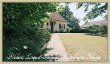 Maison 7 pièces sur sous-sol – Saint-Cyr-en-Val (45) – Spacieuse, boisée, familiale