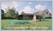 Propriété 9 pièces, piscine couverte, étang, dépendances sur 8 500 m² de terrain arboré à vendre à CHAON (41)