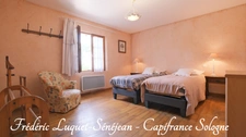 Propriété 9 pièces, piscine couverte, étang, dépendances sur 8 500 m² de terrain arboré à vendre à CHAON (41)