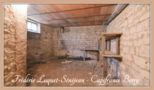 Maison avec jardin à vendre 4 pièces + grenier aménageable à SAINT FLORENT SUR CHER (18)