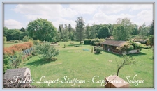 Propriété 9 pièces, piscine couverte, étang, dépendances sur 8 500 m² de terrain arboré à vendre à CHAON (41)