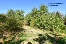 Maison à vendre 7 pièces 150M2 LODDES (03)