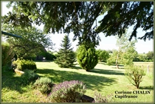 Maison à vendre 7 pièces SORBIER (03)