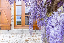 Propriété d'Agrément à vendre, Gîtes, Chambre d’hôtes.