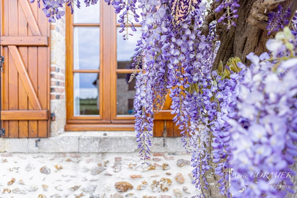 Propriété d'Agrément à vendre, Gîtes, Chambre d’hôtes.