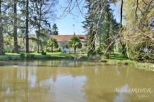 À vendre Brinon-sur-Sauldre- Charmante propriété d'agrément entièrement rénovée.