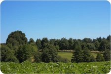 Dpt Dordogne (24), à vendre proche THIVIERS propriété équestre 37 hectares, Demeure, Dépendances, Etang, Prés clos.   