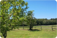 Dpt Dordogne (24), à vendre proche THIVIERS propriété équestre 37 hectares, Demeure, Dépendances, Etang, Prés clos.   