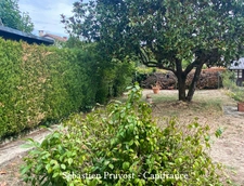 Saint‑Pardoux‑la‑Rivière 24470 (Dordogne),Maison à vendre 4 pièces (24), trois chambres, studio en rdc, garage, jardin...
