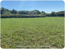 Terrain à vendre de 1 500,00 m² MILHAC DE NONTRON (24) - CU Opérationnel 03.2026 - Terrain plat.