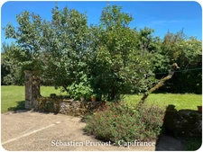 Champagnac de Belair (24), Dordogne, Maison en pierre à vendre, 211 m², 6 Pièces, Terrain 4 332 m², 5 chambres, Gîte, Atelier 