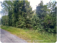 Terrain à vendre  SAINT ROMAIN ET SAINT CLEMENT (24) - 2600m2 - Constructible 