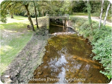 Dordogne (24) Propriété P7 proche de SAINT MARTIN DE FRESSENGEAS (24), terrain 36000m2, rivière, 225m2 habitables.