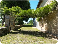 Champagnac de Belair (24), Dordogne, Maison en pierre à vendre, 211 m², 6 Pièces, Terrain 4 332 m², 5 chambres, Gîte, Atelier 