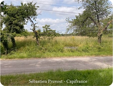 Terrain à vendre  SAINT ROMAIN ET SAINT CLEMENT (24) - 2600m2 - Constructible 