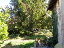 Maison à vendre 3 pièces COLOMBIERS (17) Maison de plain-pied 82m2 avec garage et beau terrain de 1000m2