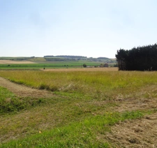 Terrain à vendre AVY (17) Terrain 2000m2 avec certificat d'urbanisme opérationnel