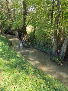 Dpt Yonne (89), à vendre TREIGNY maison 4 pièces sur deux niveaux parcelle de 980m² 